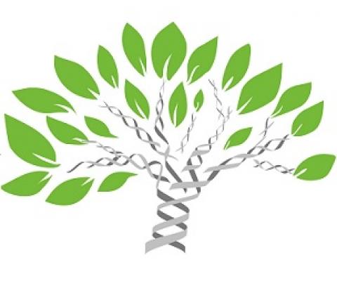 Credit: Pixabay/CC0 Public Domain