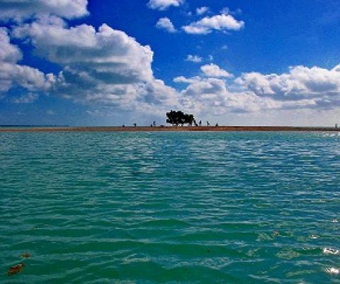 Sandbar, Tarawa lagoon, South Tarawa, Kiribati. Credit - V. Jungblut