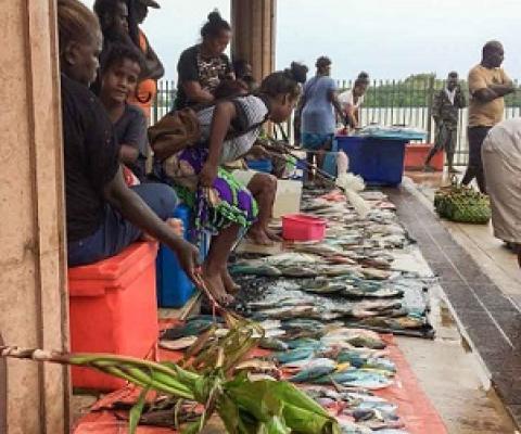 Sepi forms Women Inshore Fisheries Initiative. Credit - FFA