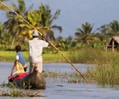 The State of the Tropics Matters Wherever You Live. Credit - AdobeStock
