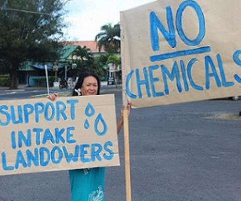 Government’s ecological report challenged. Credit - https://www.cookislandsnews.com/