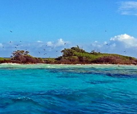 Suwarrow National Park, Cook Islands.  Credit - Cook Islands National Environment Service