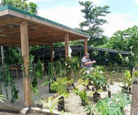 Restoring Tagabe river ecosystem. Credit - Anita Roberts/https://dailypost.vu/