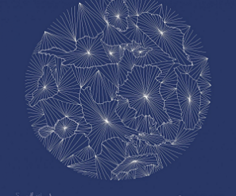 Credit - Facebook, Small Island Big Song photo