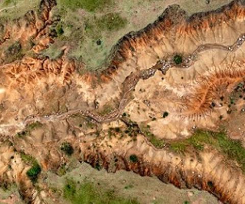 Rock becomes visible as topsoil is eroded away.Credit: Martin Harvey/Getty