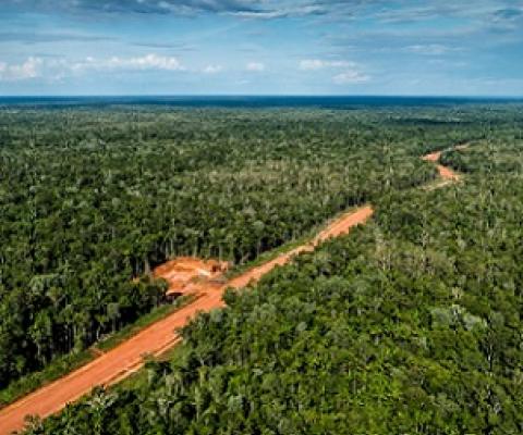 The Trans-Papua Highway, still under construction, cuts through a pristine rainforest in Papua province in Indonesia. Credit - ULET IFANSASTI/GREENPEACE