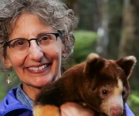 Dr. Lisa Dabek holds a Matschie’s tree kangaroo. Image by Jonathan Byers courtesy of the Tree Kangaroo Conservation Program.