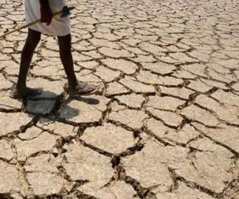 Research was centered on latitudes found between 20 degrees north, a line that cuts through Mexico, Libya and India, to 20 degrees south. Photograph: Noah Seelam/AFP/Getty Images