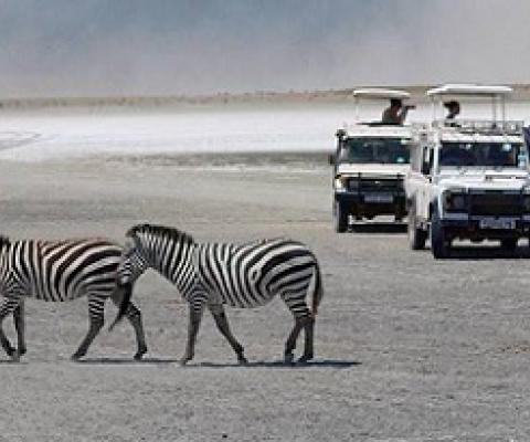 Sustaining Conservation in a Pandemic. Photo: Tim Graham/Getty Images