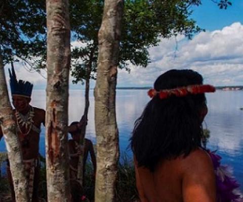 Global leaders will meet for a critical biodiversity summit in Kunming, China to set new goals for protecting nature. Source - https://phys.org/