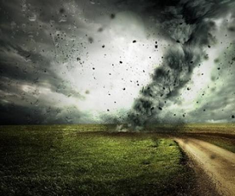 'Overwhelming' international support for more government action on environment, message-testing experiment finds. Credit - Credit: Pixabay/CC0 Public Domain 