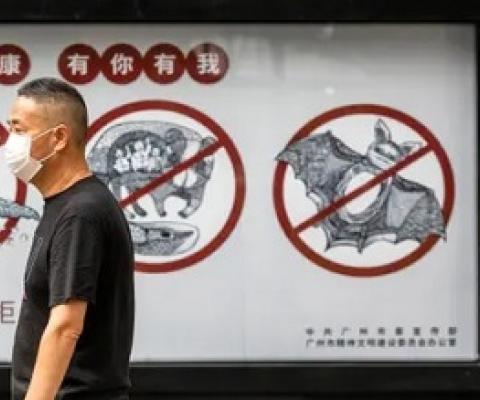 A man walks past a poster warning people in Guangdong province, China, that consuming wildlife is illegal. Photograph: Alex Plavevski/EPA