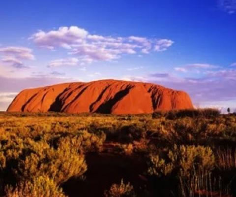 Photograph: imagebroker/Alamy