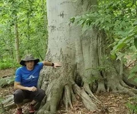Former University of Delaware postdoctoral research fellow Carl Rosier poses with 300-year-old American Beech Tree. Credit: University of Delaware