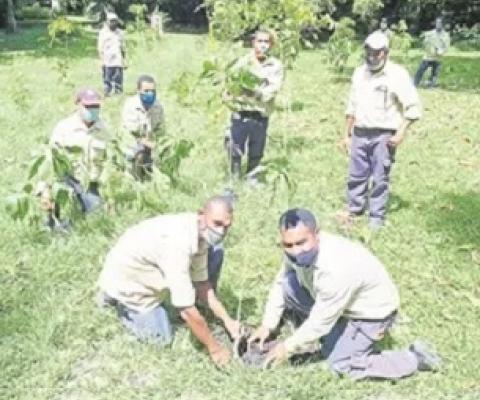 Port Moresby Nature Park grounds team commemorating the International Day for Biological Diversity by planting trees around the park. – Picture supplied