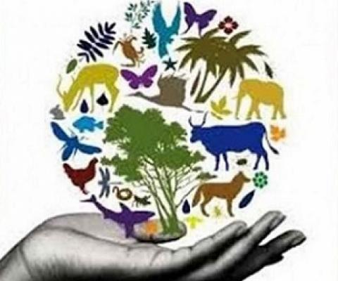 world biodiversity day logo
