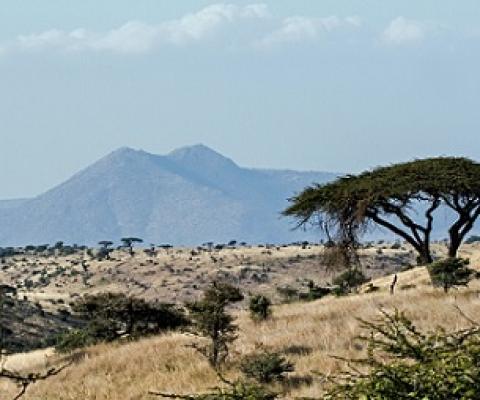 David Clode via Unsplash