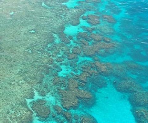 How governments resist World Heritage 'in Danger' listings. Credit: CC0 Public Domain