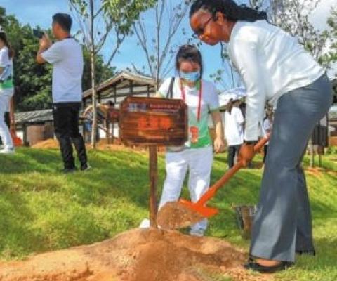 Guests attending the 44th session of UNESCO's World Heritage Committee plant trees in a historical neighborhood in Fuzhou, Fujian province, on Saturday. （Photo/China News Service）