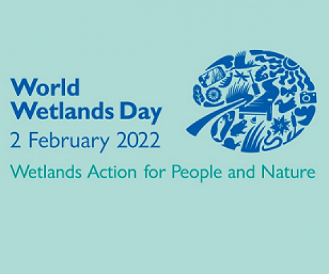 World Wetlands Day 2022 logo