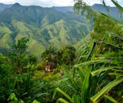 Credit - Woodland Park Zoo