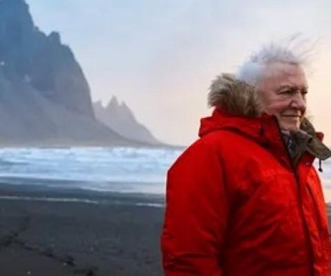 Sir David Attenborough. Source - bbc.com