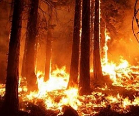 Climate scientists increasingly ignore ecological role of Indigenous peoples. Credit: CC0 Public Domain