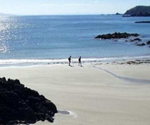 View across Tawharanui Marine Reserve and the Hauraki Gulf towards Hauturu/Little Barrier Island. Photo: RNZ / Alison Ballance