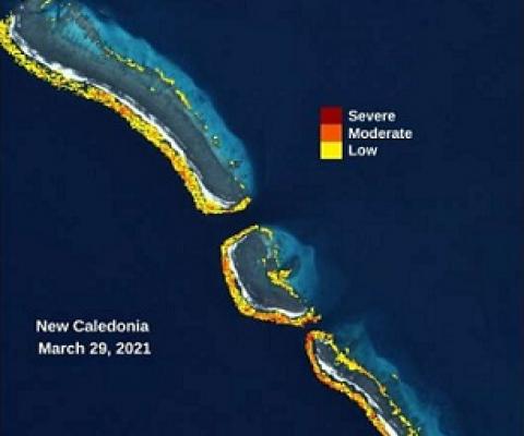 Close Up of The Allen Coral Atlas Platform Showing Bleaching in New Caledonia on 5/29/21. Credit: Allen Coral Atlas