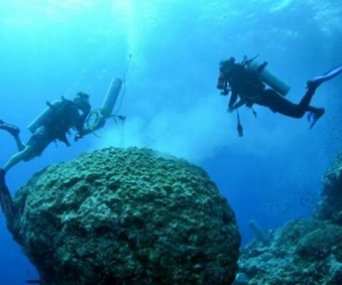 Samples of past bleaching events in the Red Sea suggest nutrients worsen the already devastating effects of climate change on corals. Credit: Jess Bouwmeester