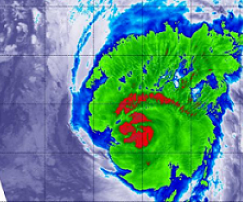 Scientists call for a moratorium on climate change research until governments take real action