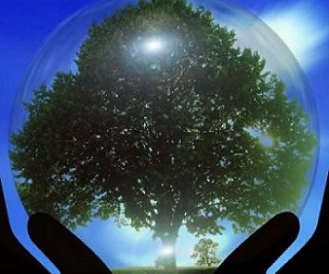 Is environmentalism in our genes?. Credit: CC0 Public Domain