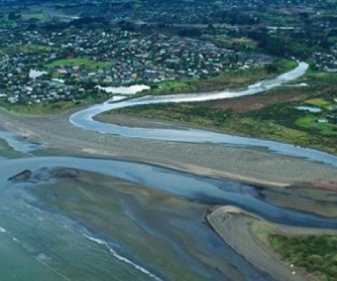 Waikanae Estuary (file). Photo: 123rf