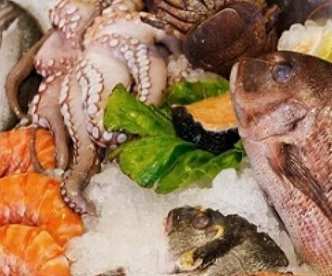 Something fishy: corruption is making the trade in fish a threat to sustainability Image: Pixabay