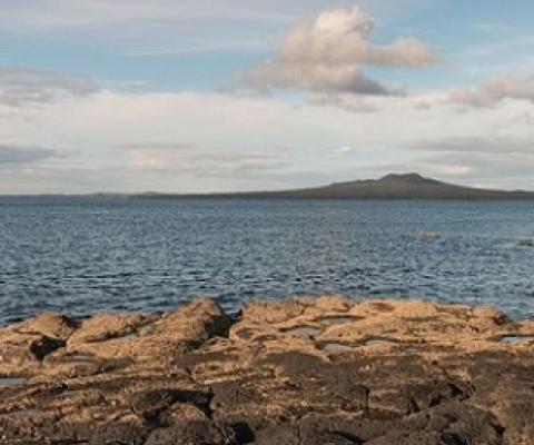 Marine protection areas will increase almost three-fold under the government's plan. Photo: 123rf.com