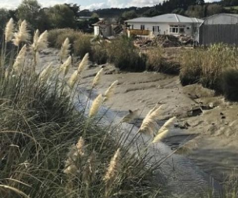 Awaroa River, Helensville Photo: LDR / Susan Botting