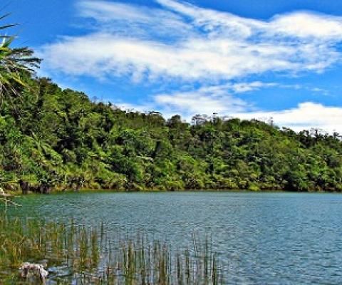 Lake Lanoto'o national park, Samoa. Credit - V. Jungblut