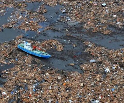 Some of the debris washed out to sea by Japan’s 2011 tsunami. Some of it came ashore the following year in the US. Photograph: Science History Images/Alamy