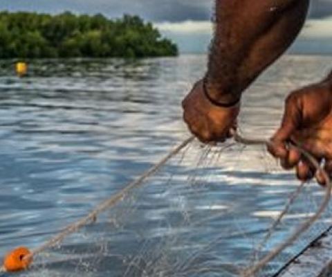 Credit - https://www.fbcnews.com.fj/