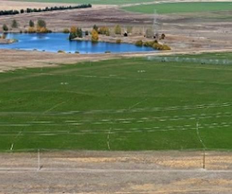 A green wave is slowly spreading over the parched Mackenzie Basin as more and more irrigation comes on stream. credit - John Bisset/Stuff