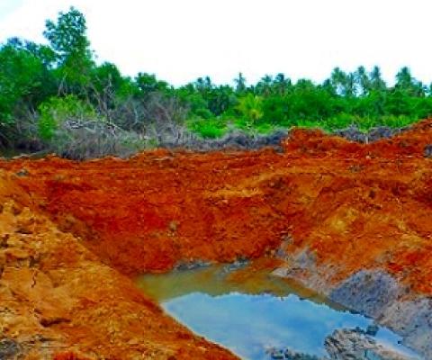 mangrove clearance, Rewa River, Fiji. Credit - V. Jungblut