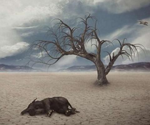 Driver of the largest mass extinction in the history of the Earth identified. Credit: CC0 Public Domain