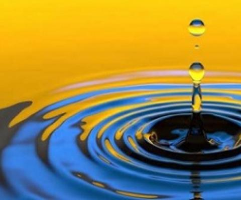 Microplastics are everywhere, study finds