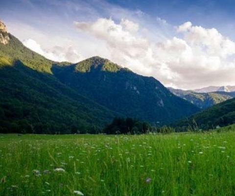 Nature should be at heart of the economy, say researchers. Credit - Credit: Unsplash/CC0 Public Domain