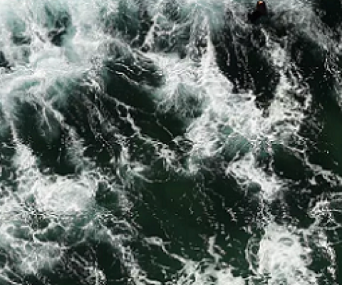 Ocean acidification and human health