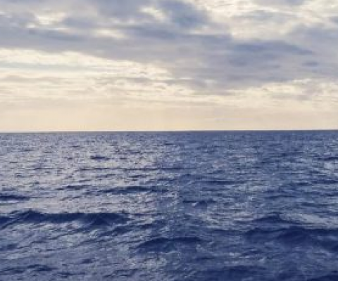 ocean surface