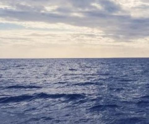 How marine protected areas help safeguard the ocean.