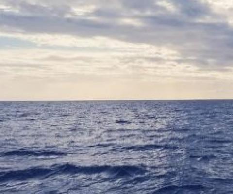 The Blue Economy and COVID-19 Pandemic: New challenges, recovery measures and resilience [On-line]