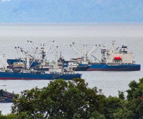 Fishing vessels waiting to tranship at Honiara. Photo: Ronald Toito’ona.