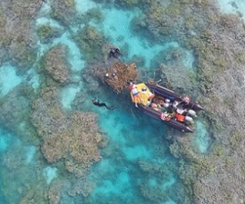 Papahanaumokuakea and Pacific Remote Islands Marine National Monuments. Credit - National Fish and Wildlife Foundation (NFWF)